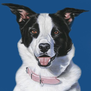 Love That Dog Hollywood Kids & Animals on Pet Life Radio