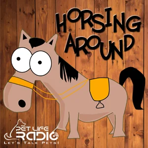 Horsing Around on Pet Life Radio