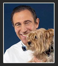 Dr. Jeff Werber on Pet Life Radio