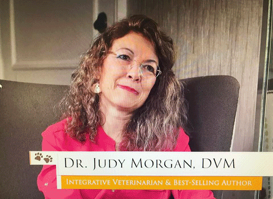 Dr. Judy Morgan  on Pet Life Radio