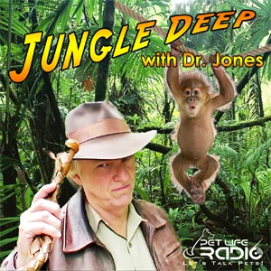 Jungle Deep on Pet Life Radio