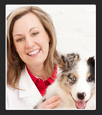 Dr. Kathryn Primm on Pet Life Radio