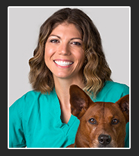 Dr. Kelley Vurik on Pet Life Radio