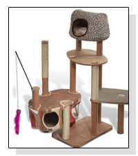 Kitty'scape  on Pet Life Radio