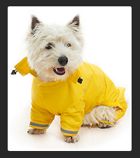 Kruuse Buster Dog Raincoat