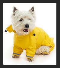 KRUUSE BUSTER Aqua Raincoat on Pet Life Radio