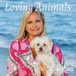 Loving Animals on Pet Life Radio