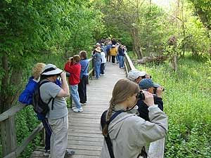 Magee Marsh on Pet Life RAdio