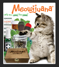 Meowijuana on Pet Life Radio