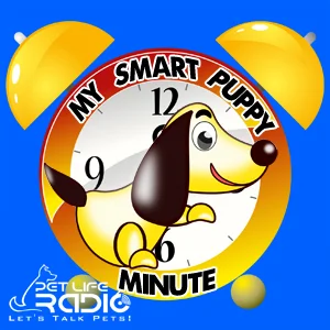 My Smart Puppy Minute on Pet Life Radio