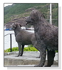 Bernadine in Newfoundlandl on Pet Life Radio