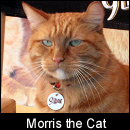 Morris The Cat on Oh Behave on Pet Life Radio