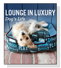 P.L.A.Y.  on Pet Life Radio