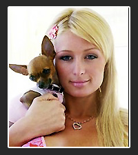 Paris Hilton on Pet Life Radio