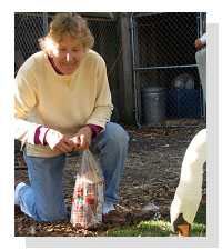 Peg Markle of Wildlife Rehab Center Ltd. 