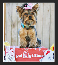 The Pet Gift Box on Pet Life Radio