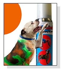 PetPaint on Pet Life Radio