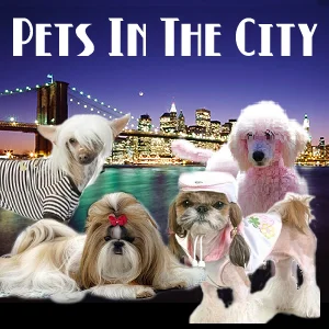 Pets in the City on Pet Life Radio