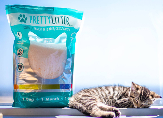 PrettyLitter on Pet Life Radio