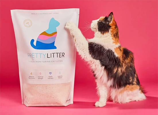 Smart Litter, Smarter Cat Care  on Pet Life Radio