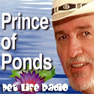 Prince of Ponds on Pet Life Radio