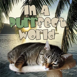 In a Purrfect World on Pet Life Radio