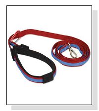 Kurgo Quantum Leash  on Pet Life Radio