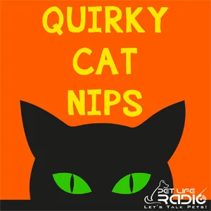 Quirky Cat Nips on Pet Life Radio