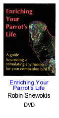 Enriching Your Parrot's Life by Robin Shewokis