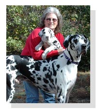 Sandy Hall on Pet Life Radio