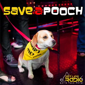 Save A Pooch on Pet Life Radio
