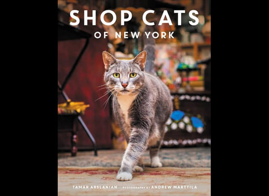 Shop Cats of New York on Pet Life Radio