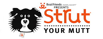 Strut Your Mutt on Pet Life Radio