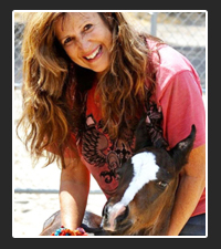 Sue Greenberg  on Pet Life Radio