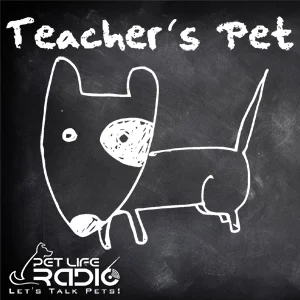 Teacher's Pet  on Pet Life Radio