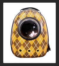 Travel Cat  on Pet Life Radio