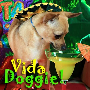 Vida Doggie  on Pet Life Radio