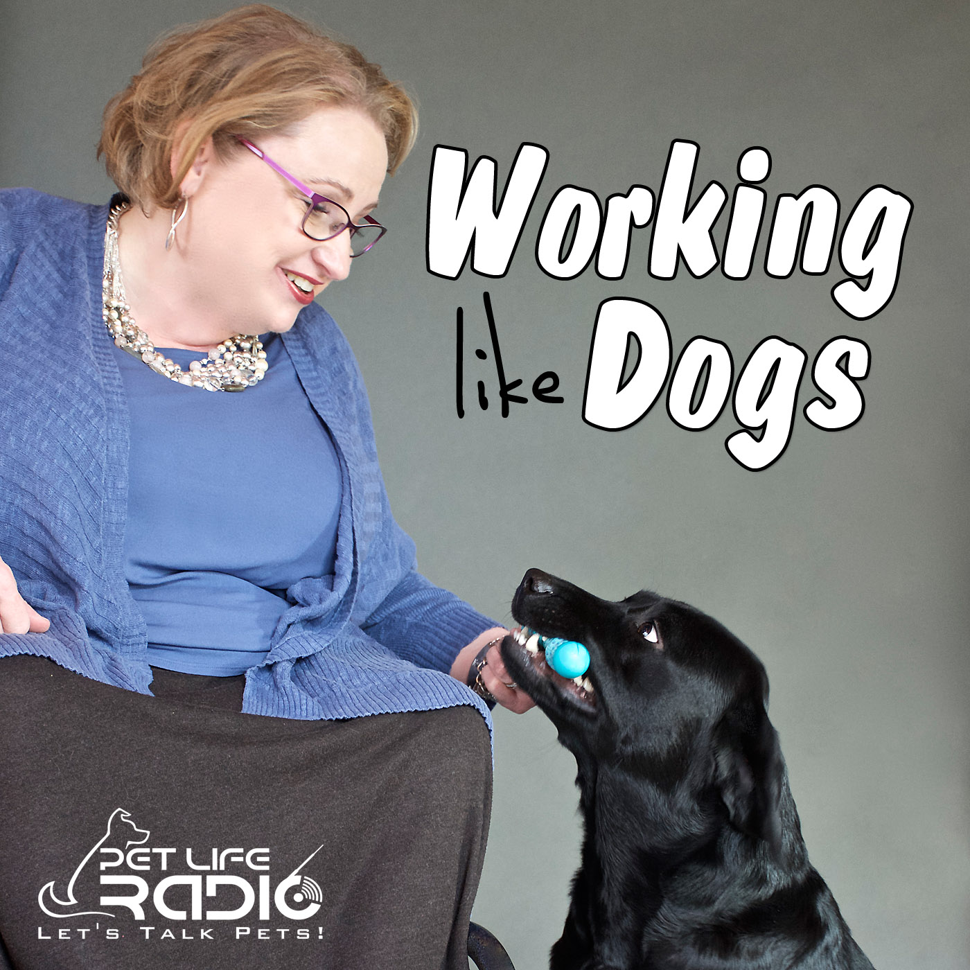 Working Like Dogs - Service Dogs and Working Dogs  - Pets & Animals on Pet Life Radio (PetLifeRadio.com)