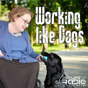 Working Like Dogs on Pet Life Radio