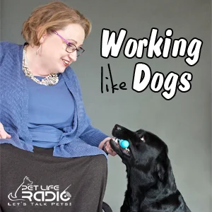 Working Like Dogs on Pet Life Radio