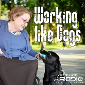 Working Like Dogs on Pet Life Radio