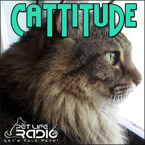 Cattitude on Pet Life Radio