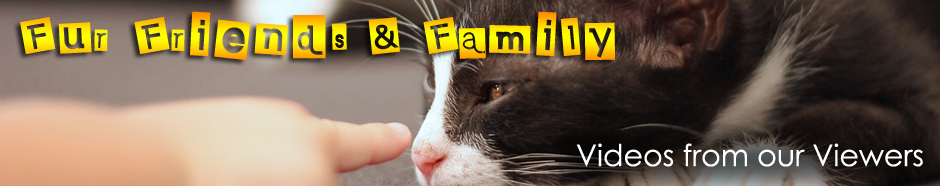 Fur Friends & Family