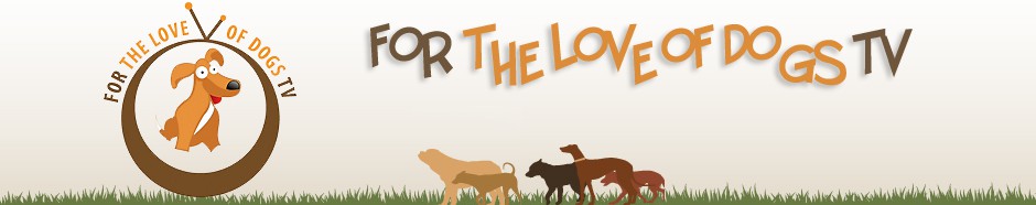 ForTheLoveOfDogs