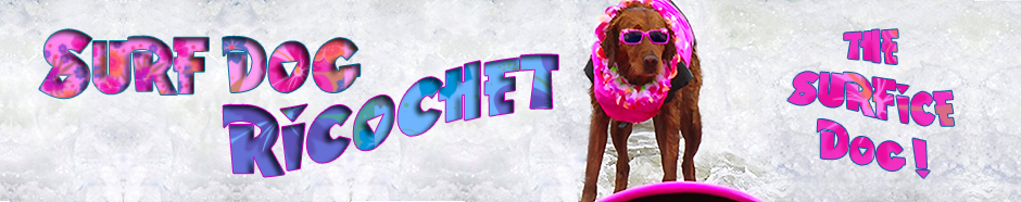 Surf Dog Ricochet