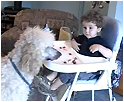 Dogs and Kids