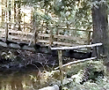 The Rainbow Bridge