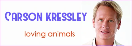Dog Podcast | Cat Podcast | Carson Kressley on Pet Life Radio
