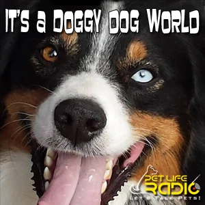 It's A Doggy Dog World on Pet Life Radio