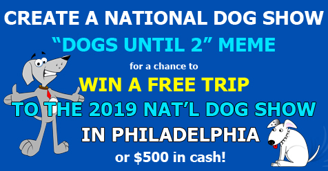 Enter the Dogs Until 2 Meme Contest!